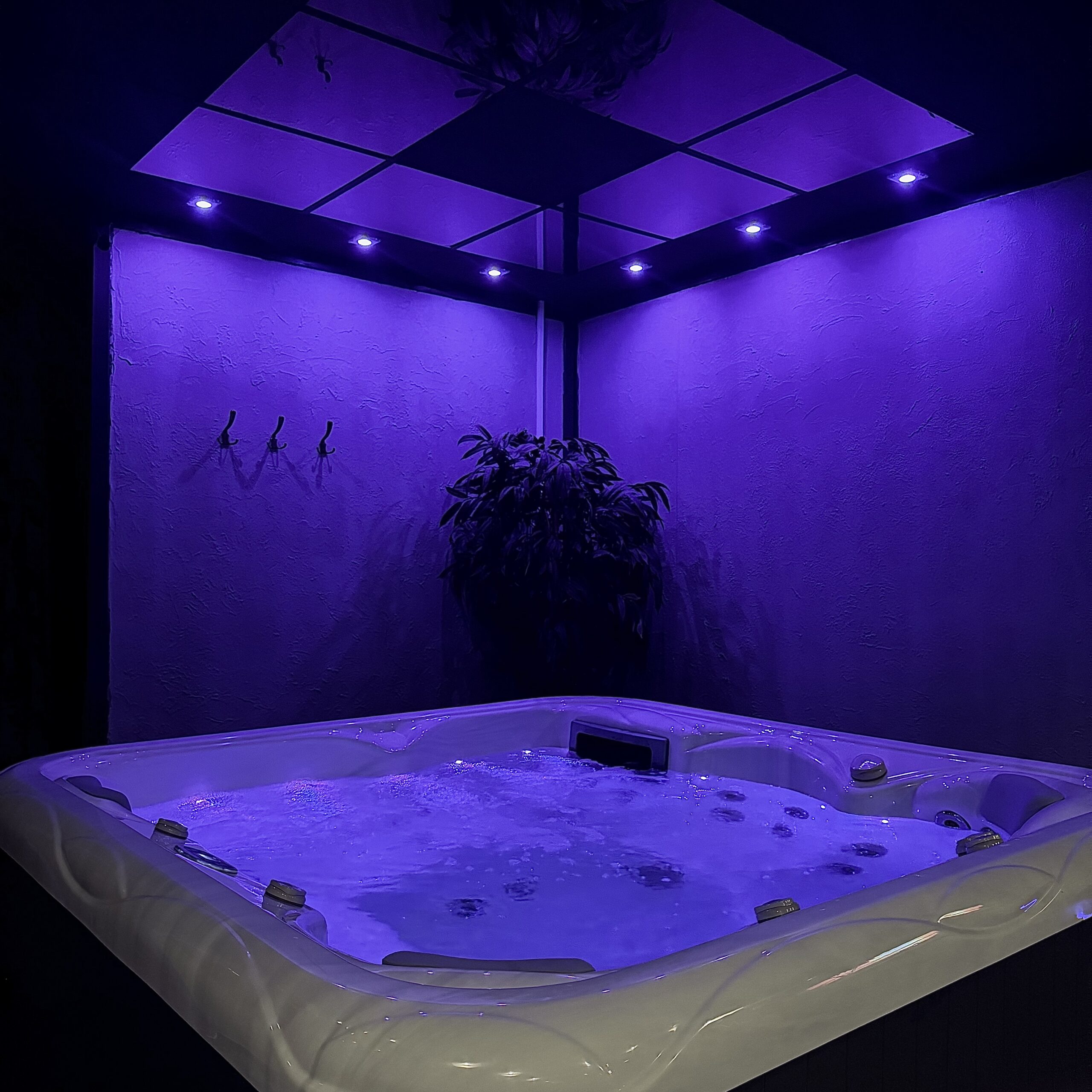 Jaukus poilsis Alytaus miesto centre – Centro Pirtelė